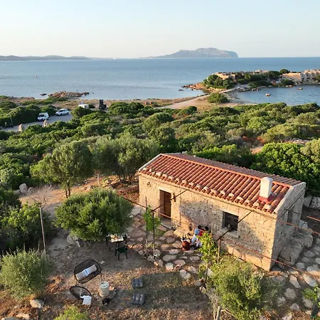 L'isola Che Non C'e Ng Collection * Olbia