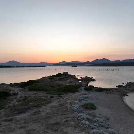 L'isola Che Non C'e Ng Collection Olbia