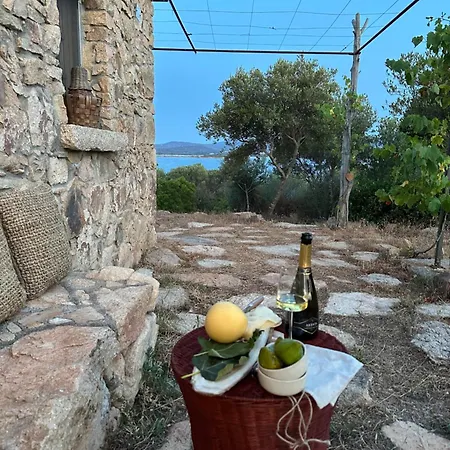 L'isola Che Non C'è Ng Collection * Olbia