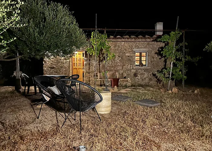 L'isola Che Non C'e Ng Collection * أولبيا