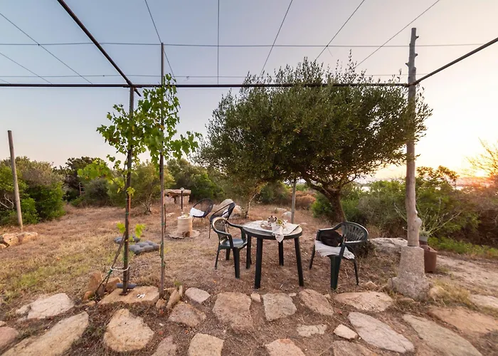 L'isola Che Non C'e Ng Collection * أولبيا