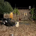 L'isola Che Non C'e Ng Collection * Olbia