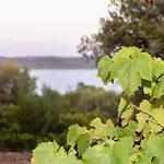 L'isola Che Non C'e Ng Collection *