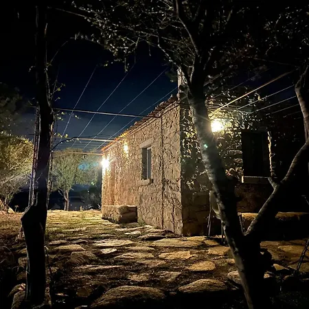 L'isola Che Non C'e Ng Collection Olbia