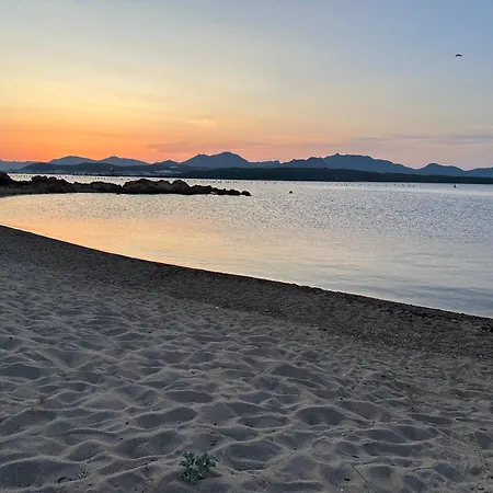 L'isola Che Non C'e Ng Collection