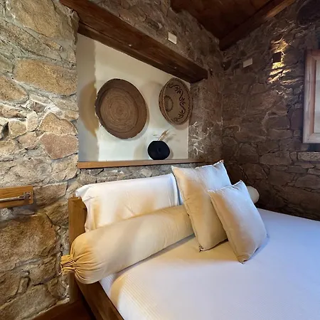 L'isola Che Non C'e Ng Collection Ольбия