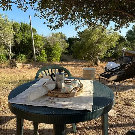 L'isola Che Non C'e Ng Collection *