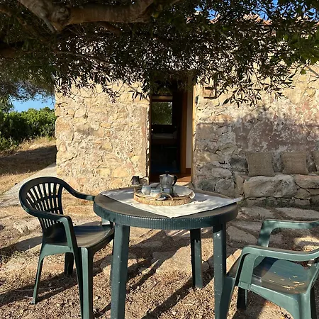 L'isola Che Non C'e Ng Collection