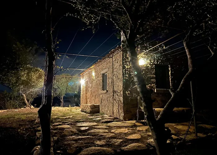 L'isola Che Non C'è Ng Collection Olbia