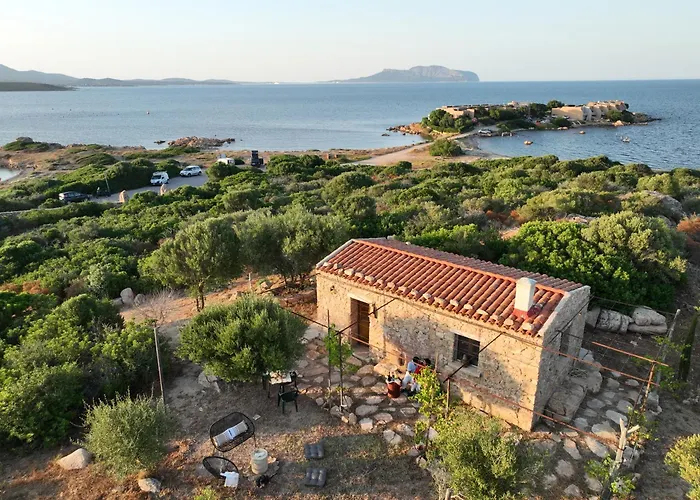 L'isola Che Non C'è Ng Collection * Olbia