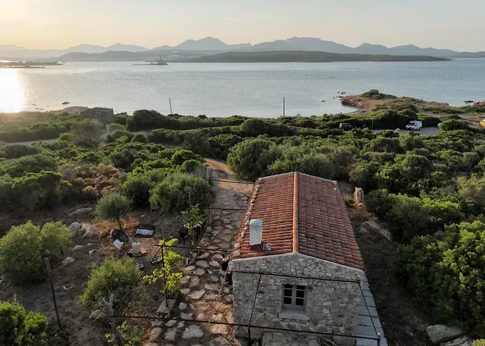 L'isola Che Non C'è Ng Collection Olbia