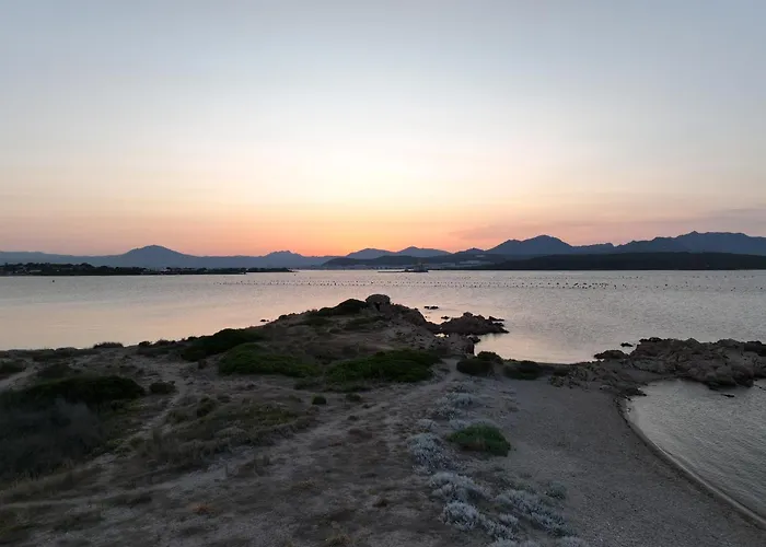 L'isola Che Non C'e Ng Collection Olbia