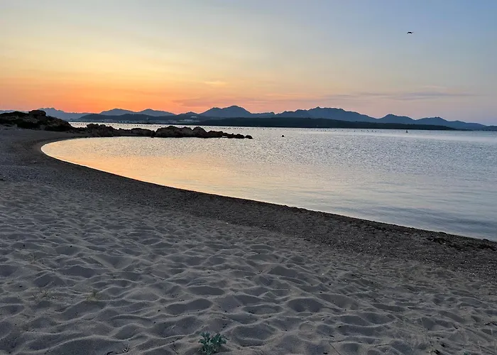 L'isola Che Non C'è Ng Collection