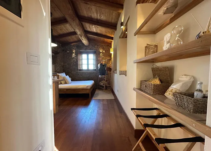 L'isola Che Non C'e Ng Collection Olbia