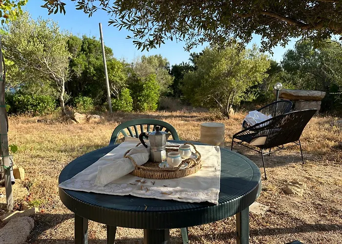 L'isola Che Non C'è Ng Collection *