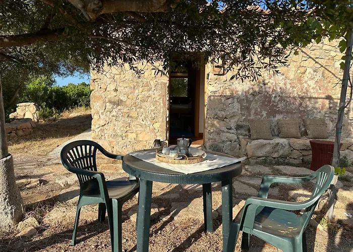 L'isola Che Non C'è Ng Collection