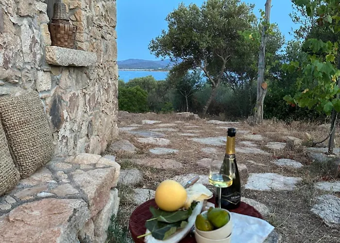 L'isola Che Non C'è Ng Collection * Olbia