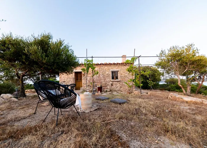 L'isola Che Non C'è Ng Collection Olbia