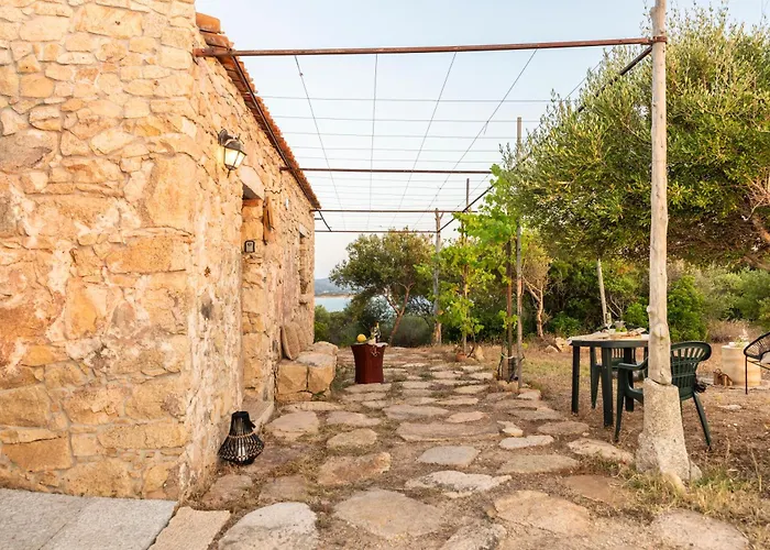 L'isola Che Non C'e Ng Collection