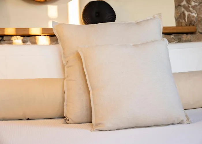 L'isola Che Non C'è Ng Collection